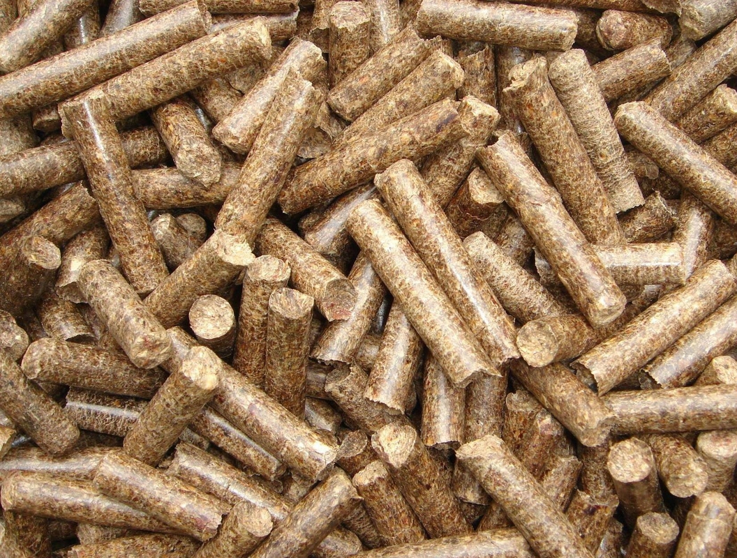 Endgranulat Größe 3-10 mm Organischer Dünger Granulator mit 4-6 t/h Produktionskapazität Besuch Willkommen
