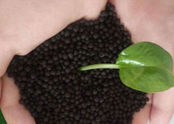 Produktionslinie für organische Düngemittel Pellet für Taubendünger